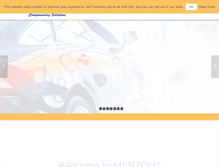 Tablet Screenshot of menzolit.com